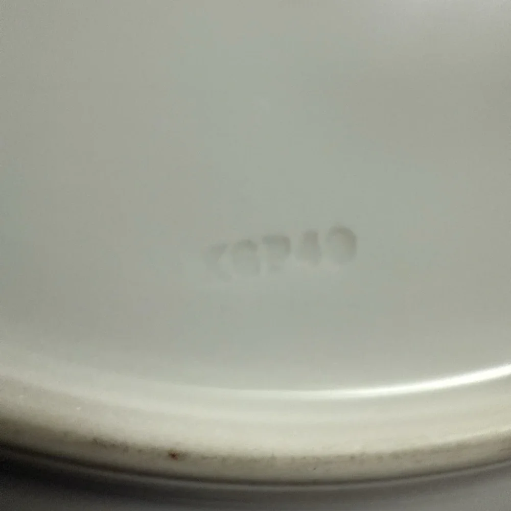 VANTAGE BING & GRONDAHL Copenhagen Porcelain 